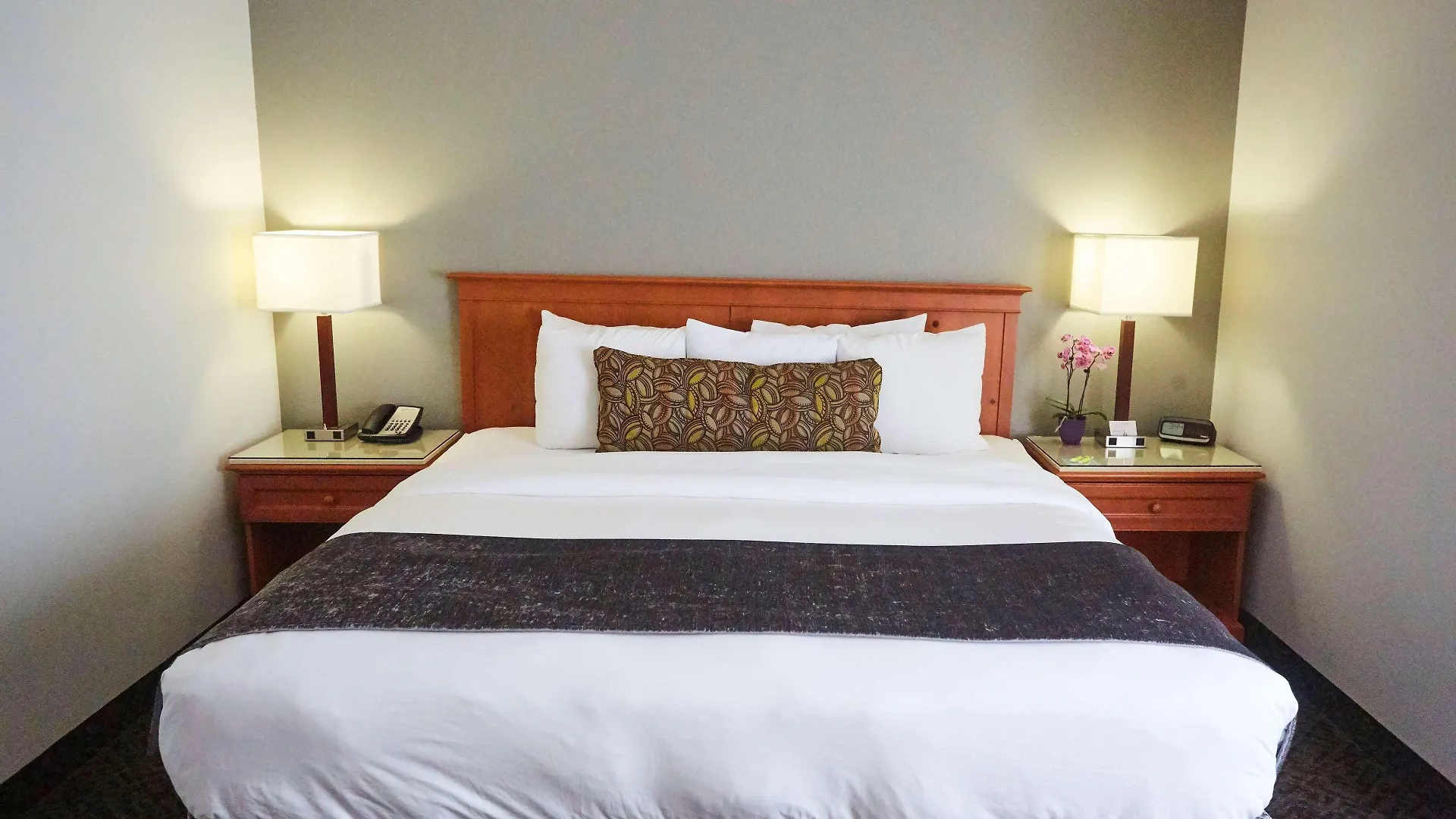 Radisson Hotel Portland Airport 3*,